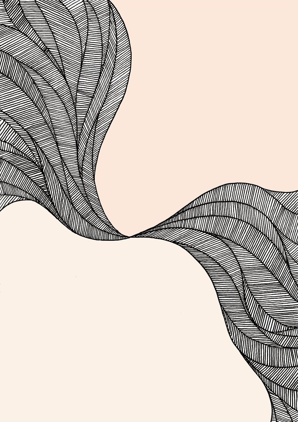 black and white line drawing with cream background